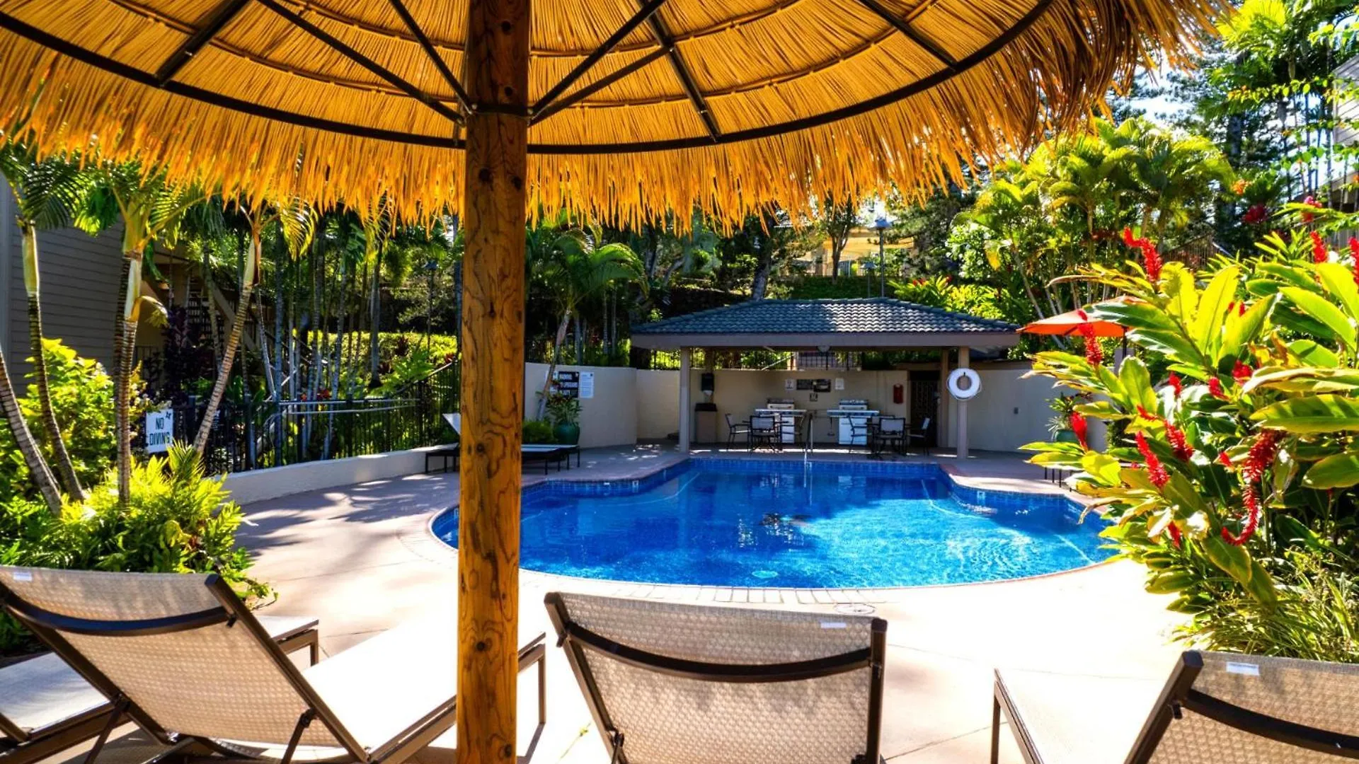 Apartamento Kbm Free Car Golf Kgv-24p2 Remodeled Ocean View