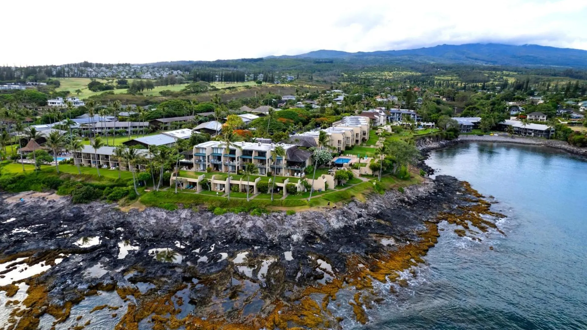 Kbm Free Car Napili Point Nap-a25 Stunning Ocean Front Turtle Views * Kapalua