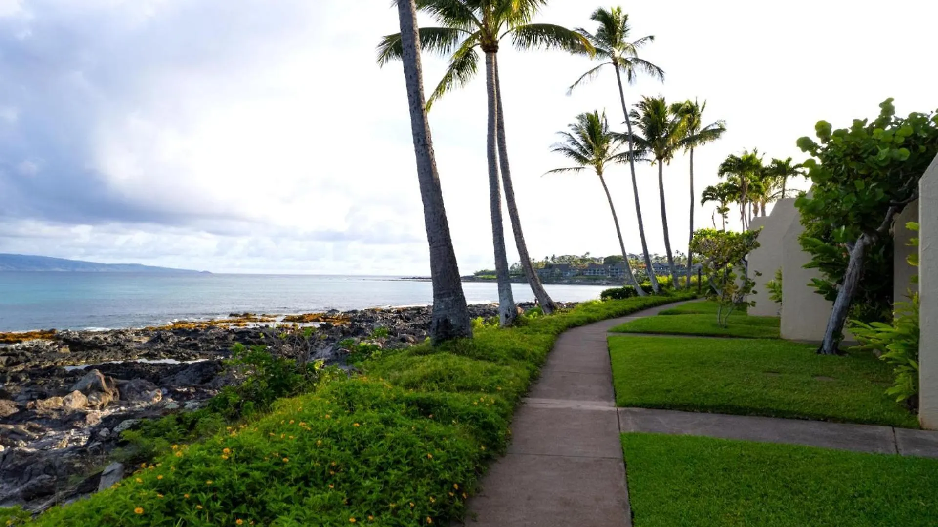 Kbm Free Car Napili Point Nap-a25 Stunning Ocean Front Turtle Views *