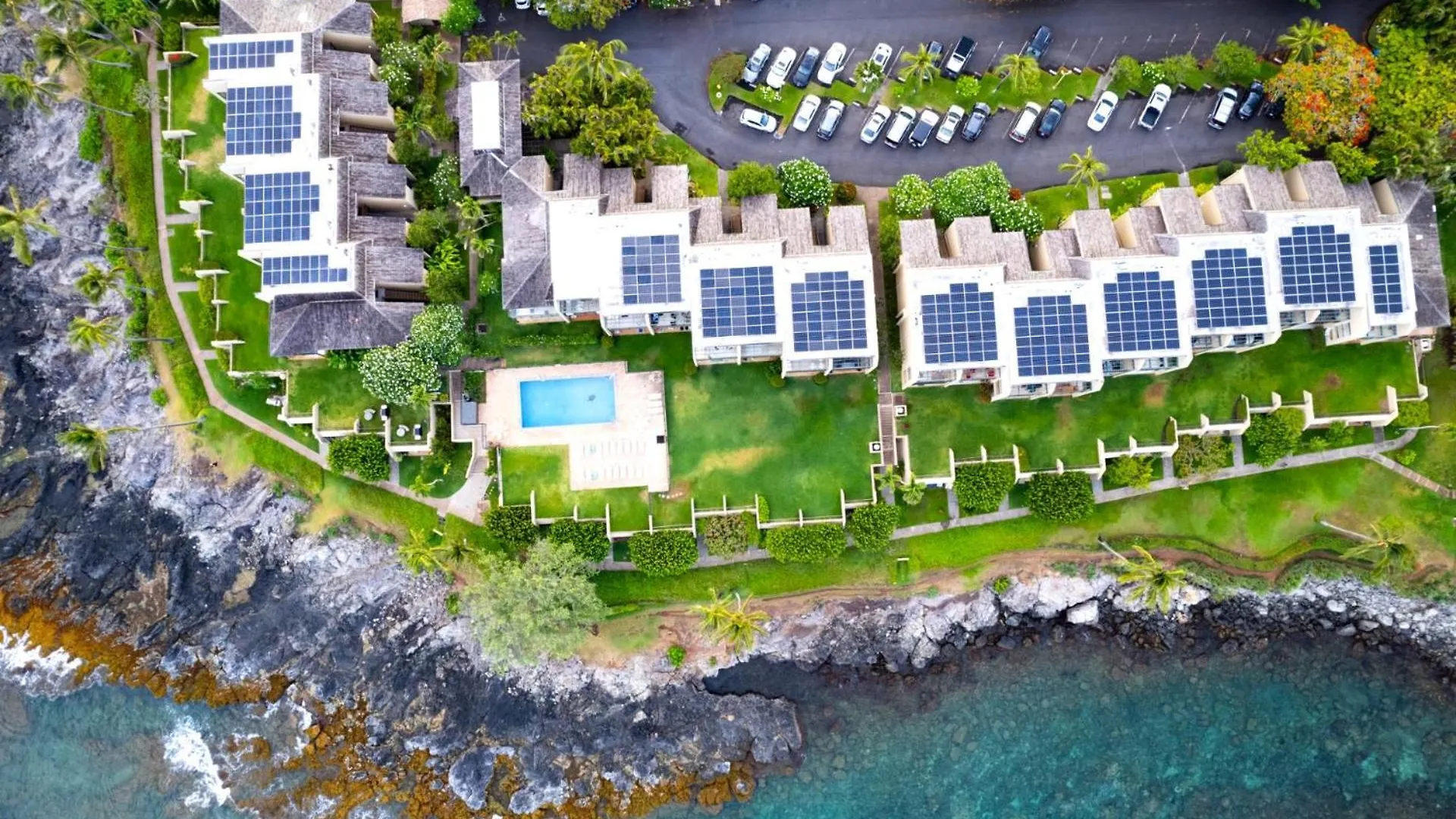 Kbm Free Car Napili Point Nap-a25 Stunning Ocean Front Turtle Views