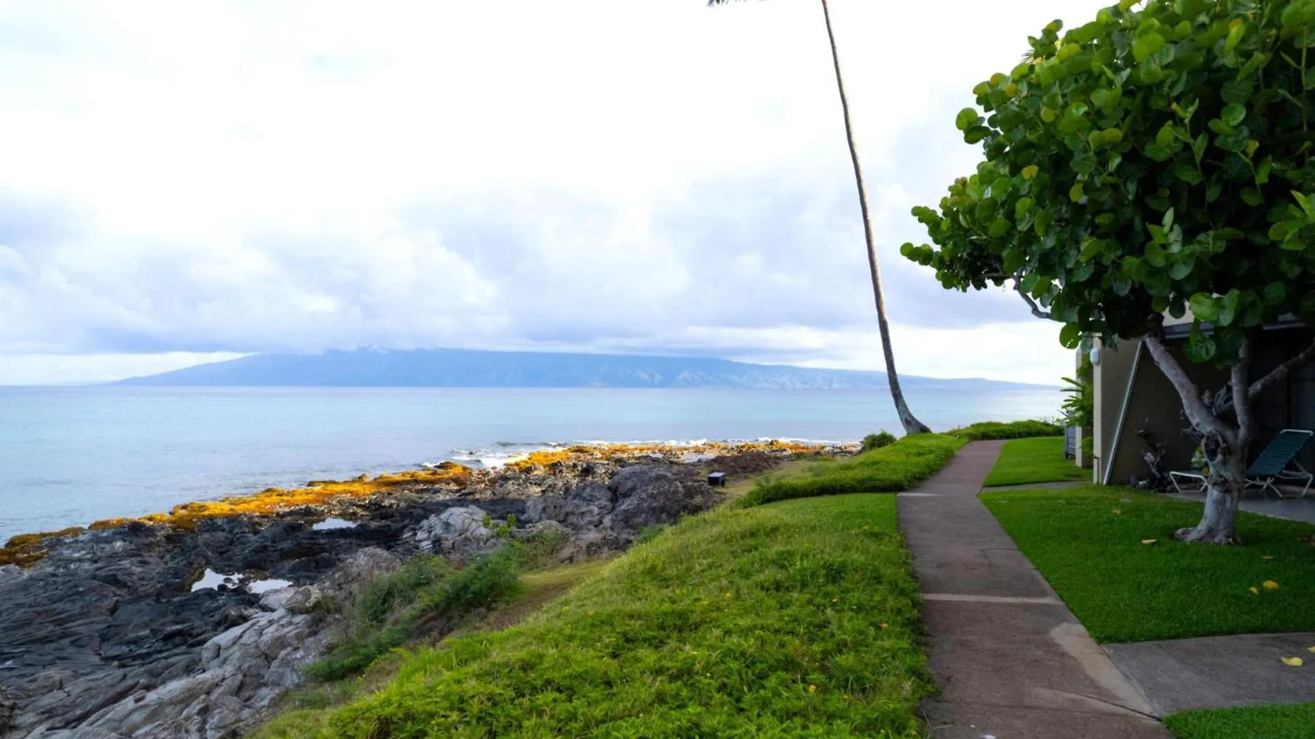 Kbm Free Car Napili Point Nap-a25 Stunning Ocean Front Turtle Views * Kapalua