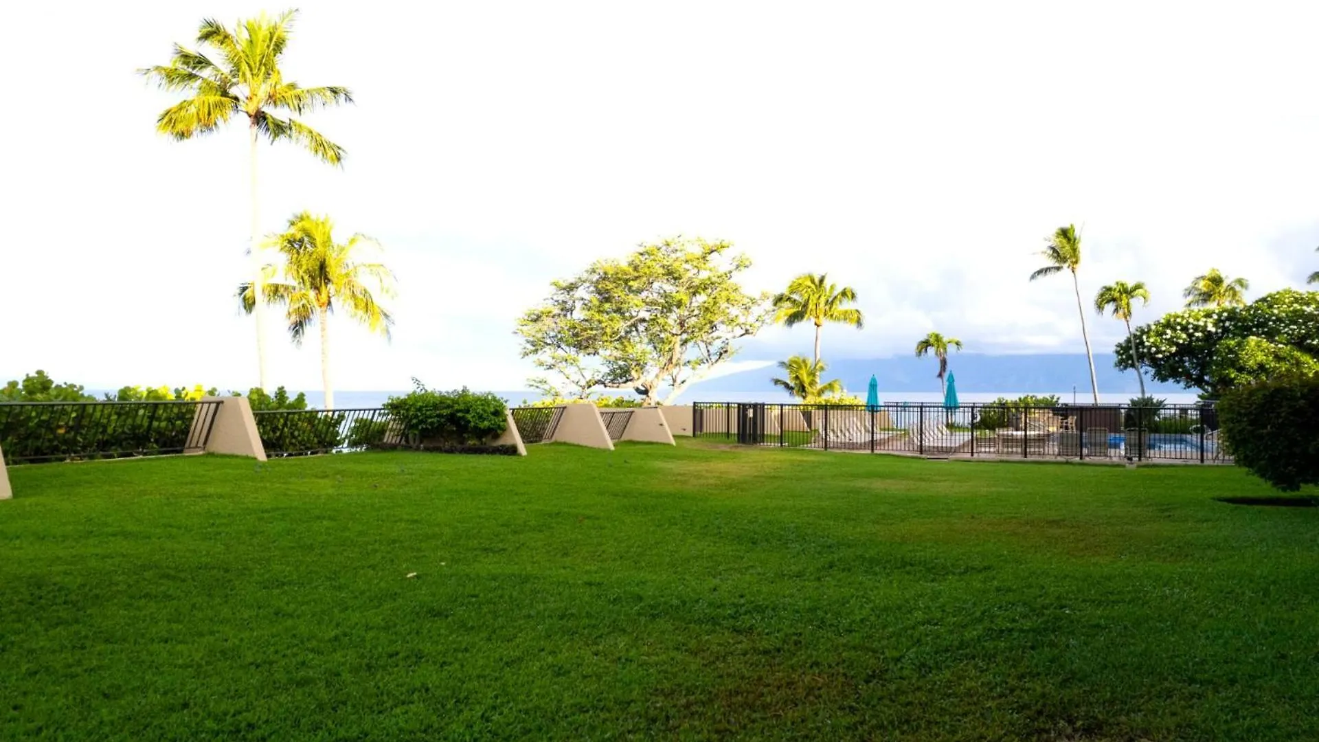 Kbm Free Car Napili Point Nap-a25 Stunning Ocean Front Turtle Views Apartment Kapalua