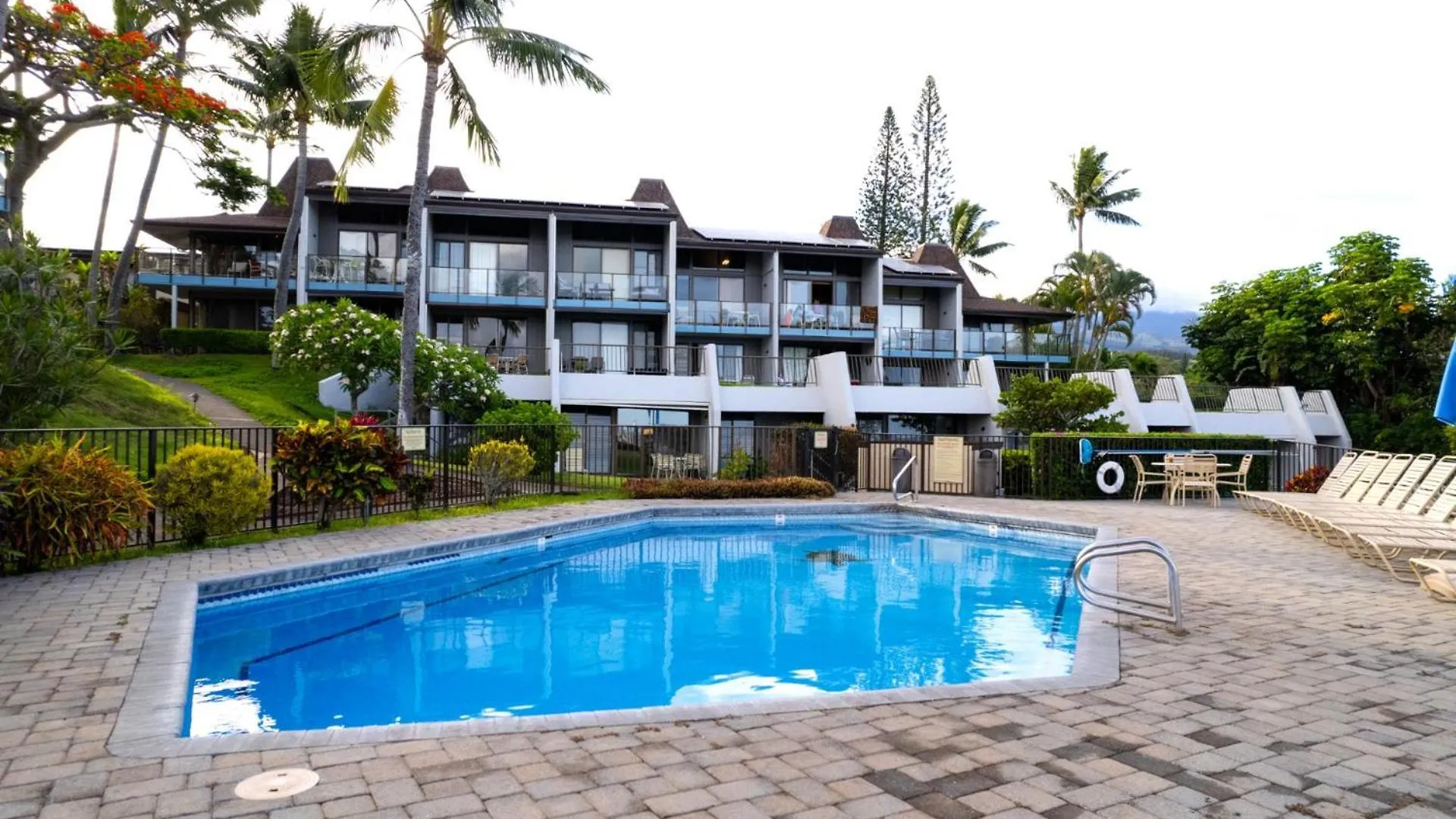 Kbm Free Car Napili Point Nap-a25 Stunning Ocean Front Turtle Views Apartment