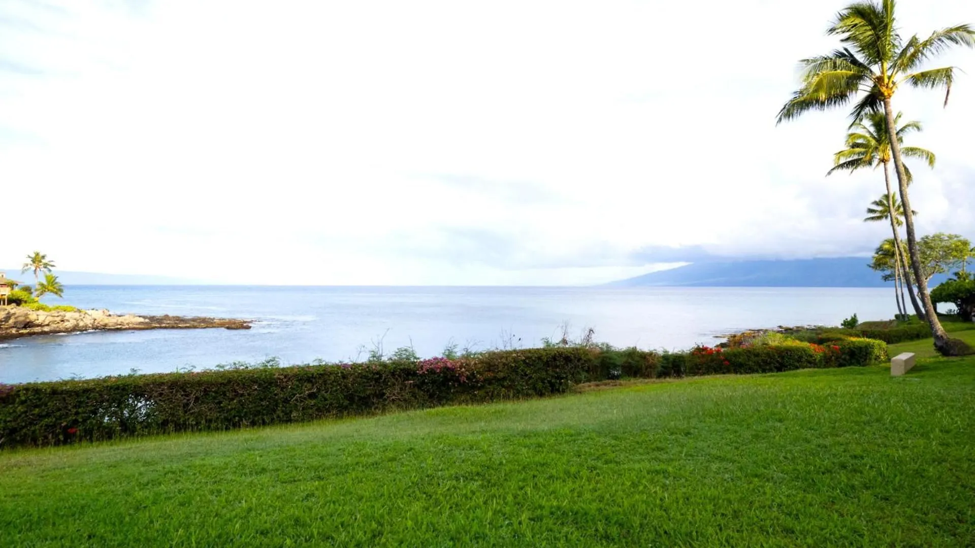 Kbm Free Car Napili Point Nap-a25 Stunning Ocean Front Turtle Views *