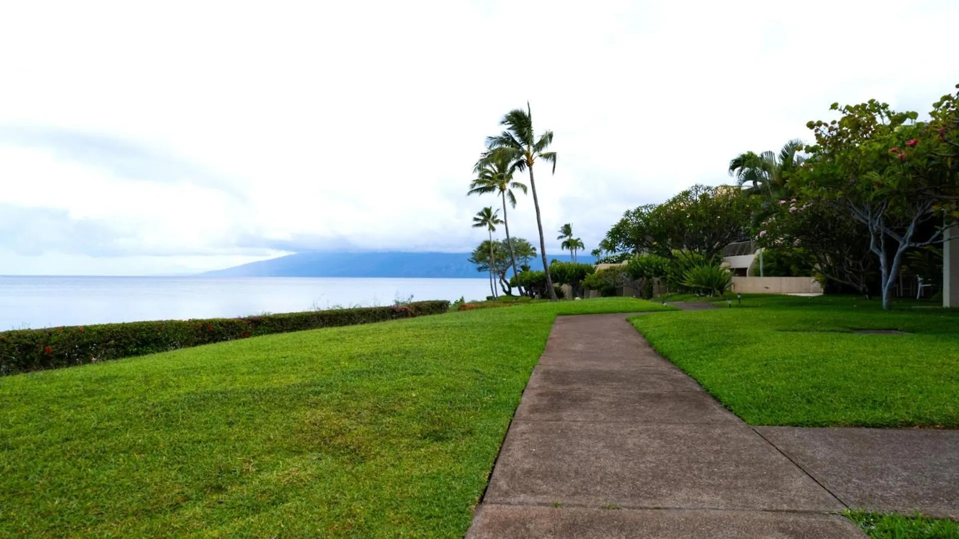 Kbm Free Car Napili Point Nap-a25 Stunning Ocean Front Turtle Views Apartment *