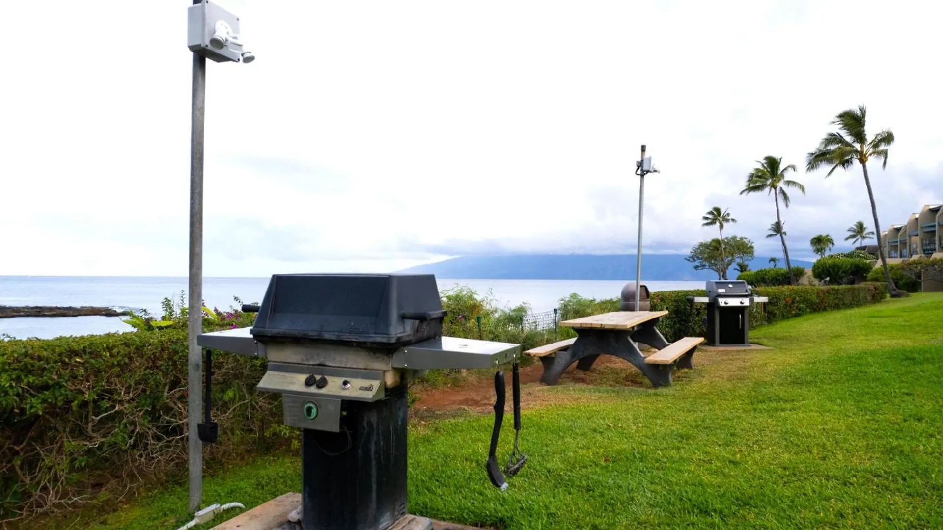 Kbm Free Car Napili Point Nap-a25 Stunning Ocean Front Turtle Views Apartment