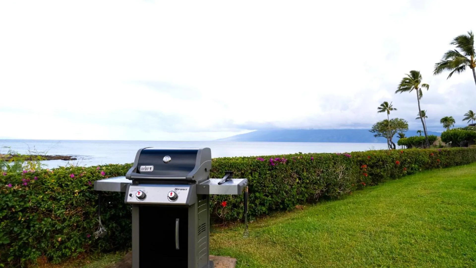 Kbm Free Car Napili Point Nap-a25 Stunning Ocean Front Turtle Views *
