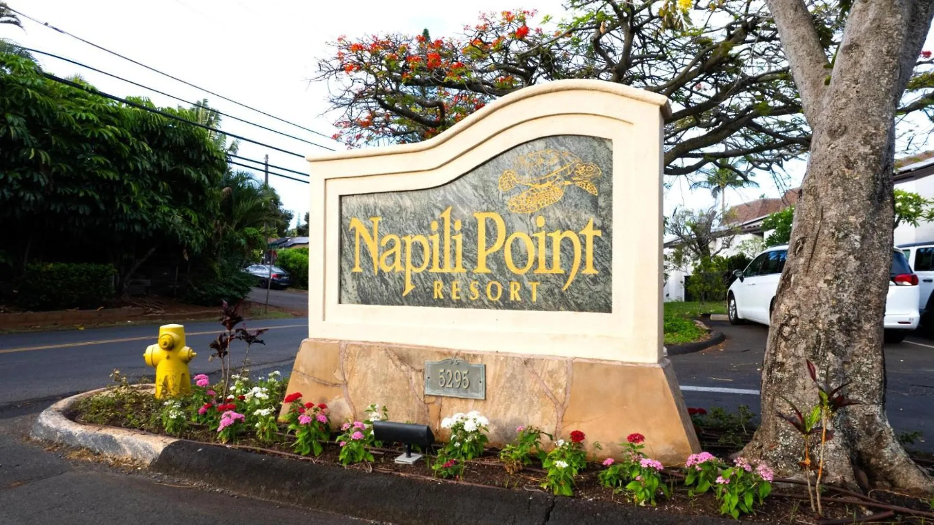 Kbm Free Car Napili Point Nap-a25 Stunning Ocean Front Turtle Views * Kapalua