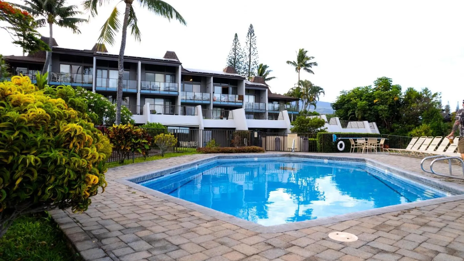 Kbm Free Car Napili Point Nap-a25 Stunning Ocean Front Turtle Views Apartment *