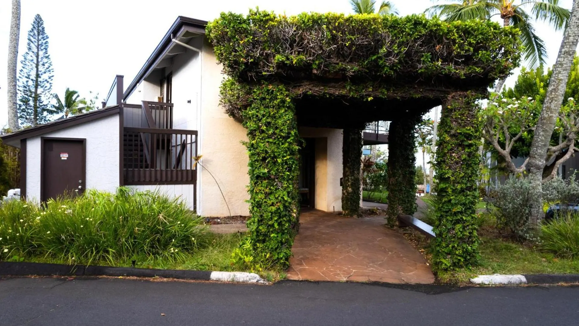 Kbm Free Car Napili Point Nap-a25 Stunning Ocean Front Turtle Views Apartment Kapalua
