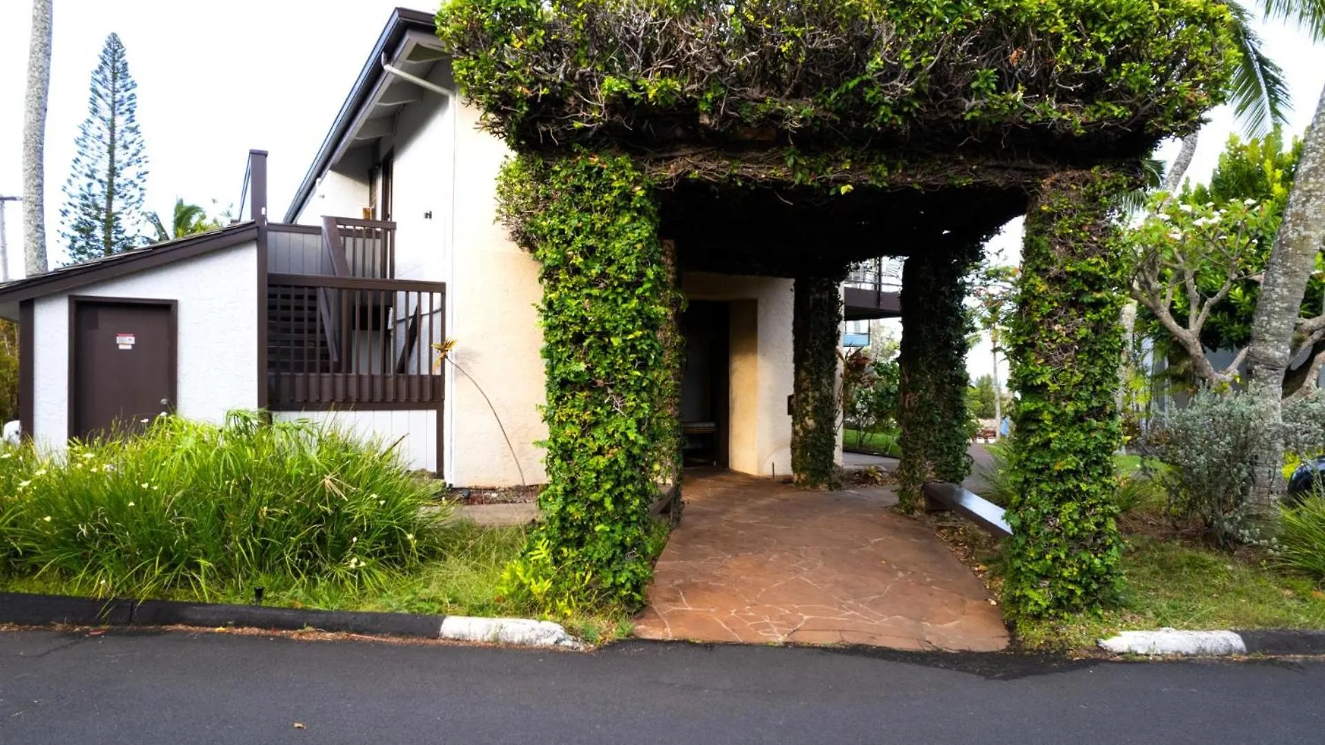 Kbm Free Car Napili Point Nap-a25 Stunning Ocean Front Turtle Views Kapalua