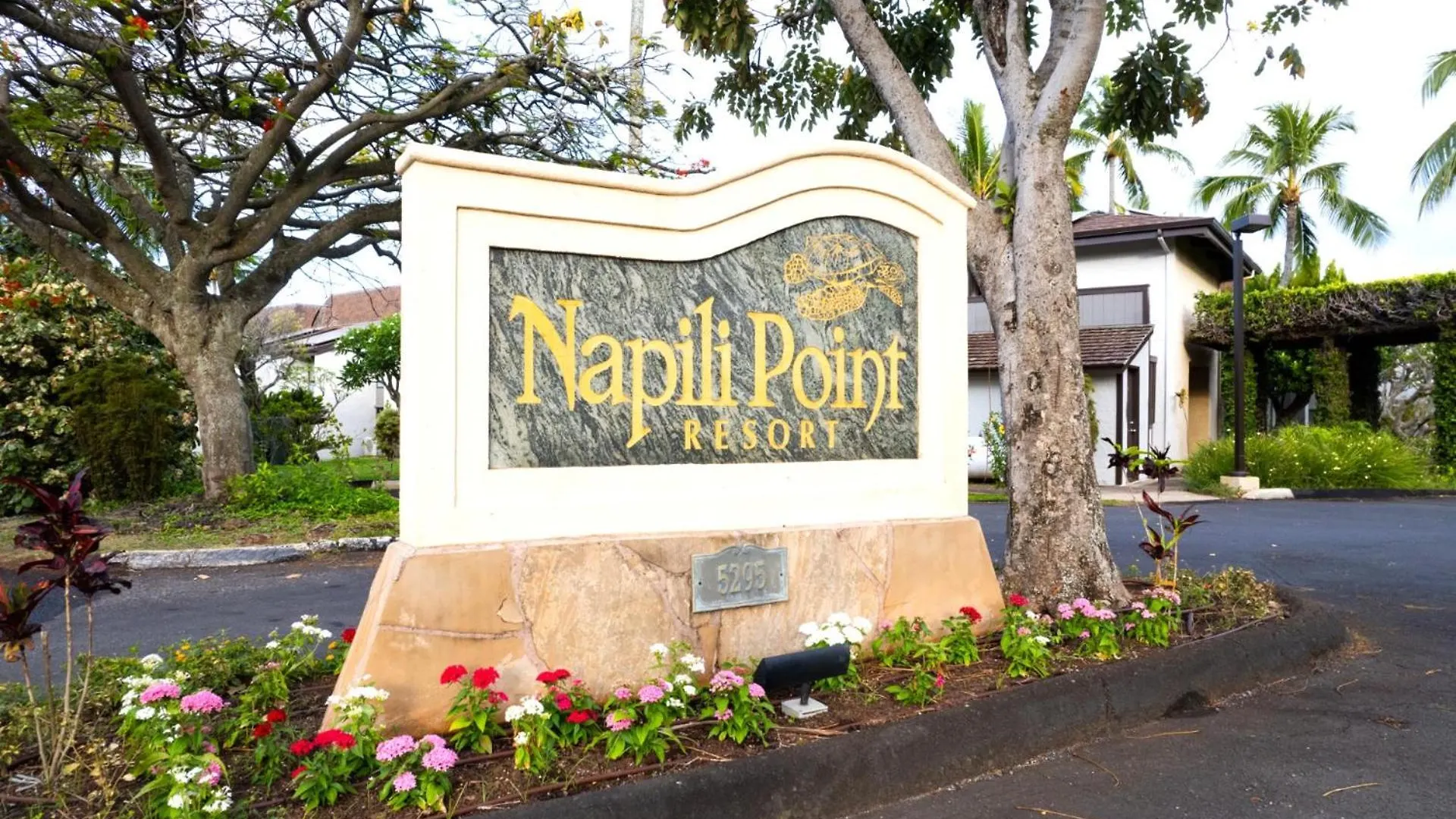 Kbm Free Car Napili Point Nap-a25 Stunning Ocean Front Turtle Views Apartment