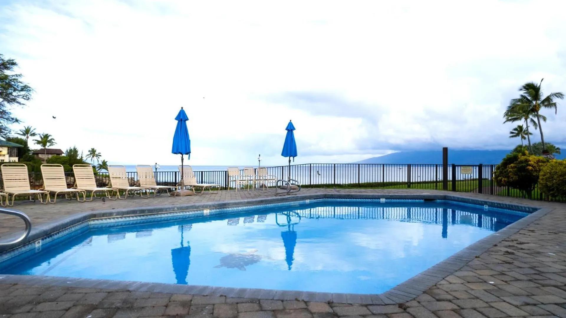 Kbm Free Car Napili Point Nap-a25 Stunning Ocean Front Turtle Views *