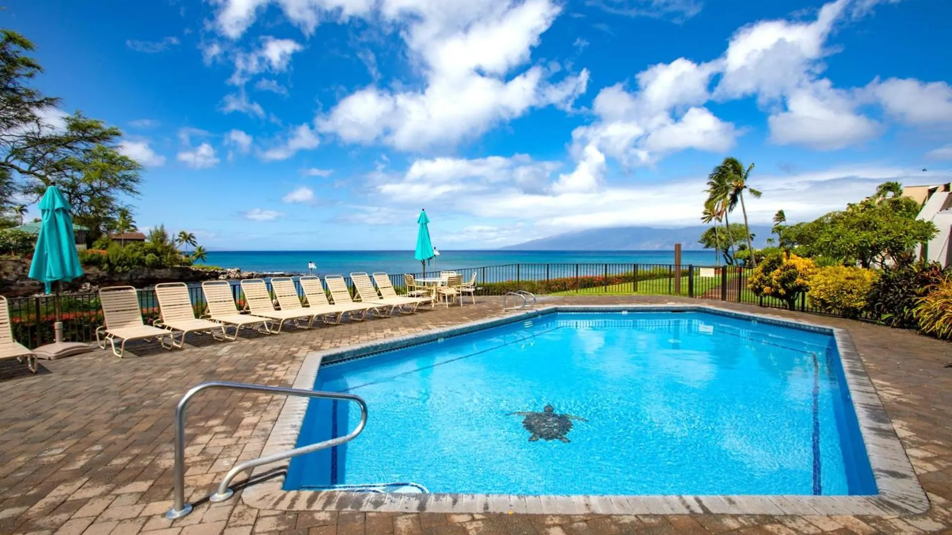 Kbm Free Car Napili Point Nap-a25 Stunning Ocean Front Turtle Views