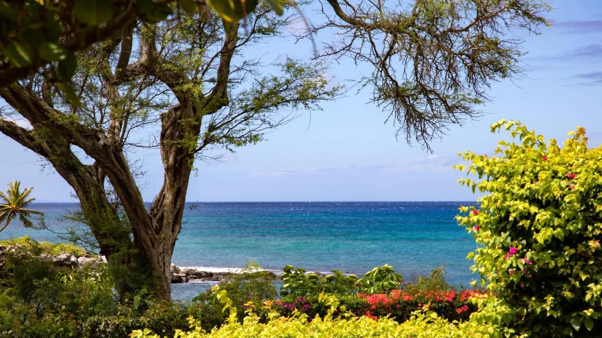 Kbm Free Car Napili Point Nap-a25 Stunning Ocean Front Turtle Views Kapalua