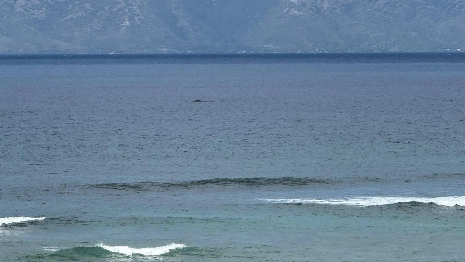 Oceanfront Escape, Molokai Views & Tropical Breezes *