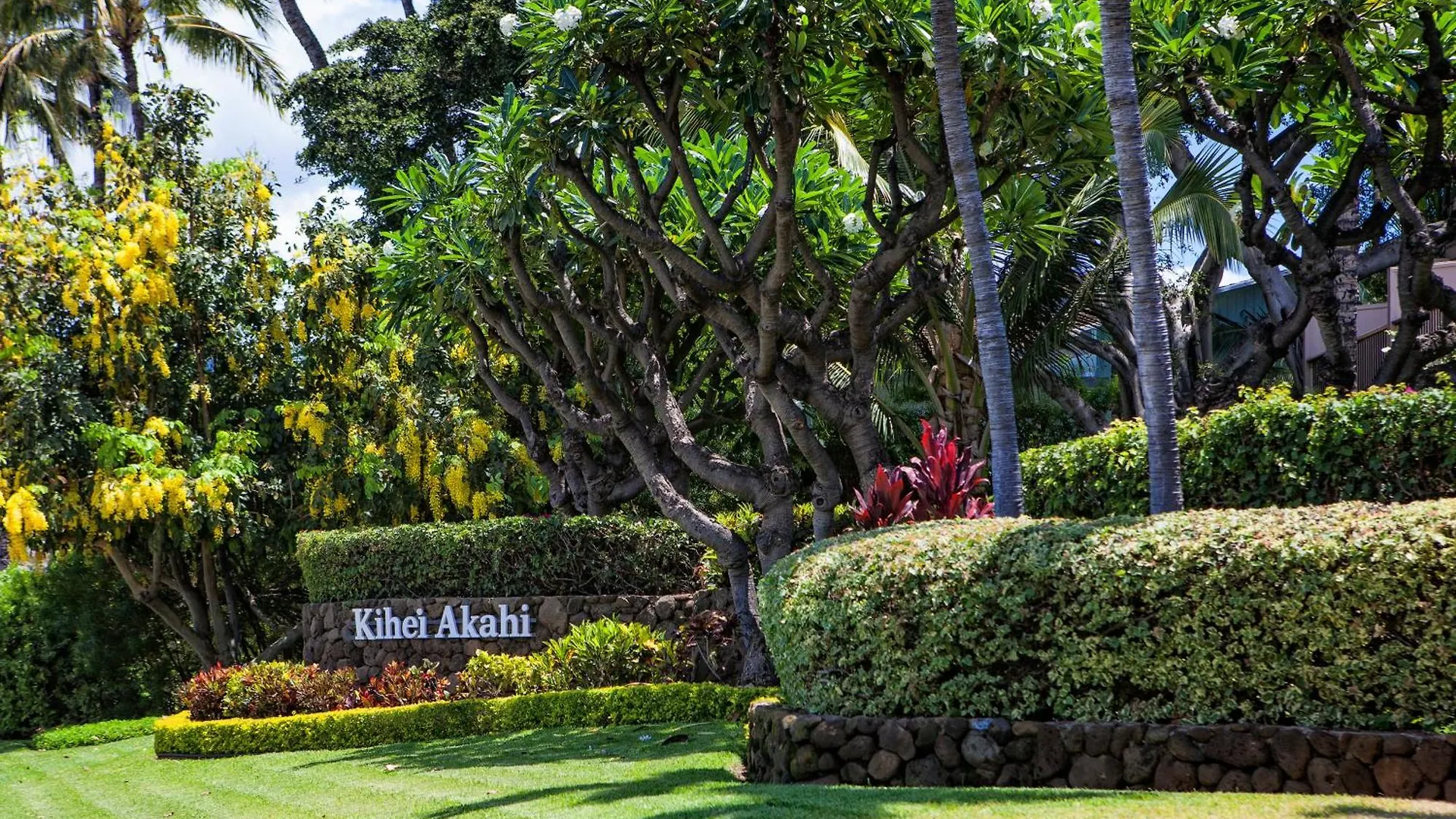 Akahi D208 - Mch