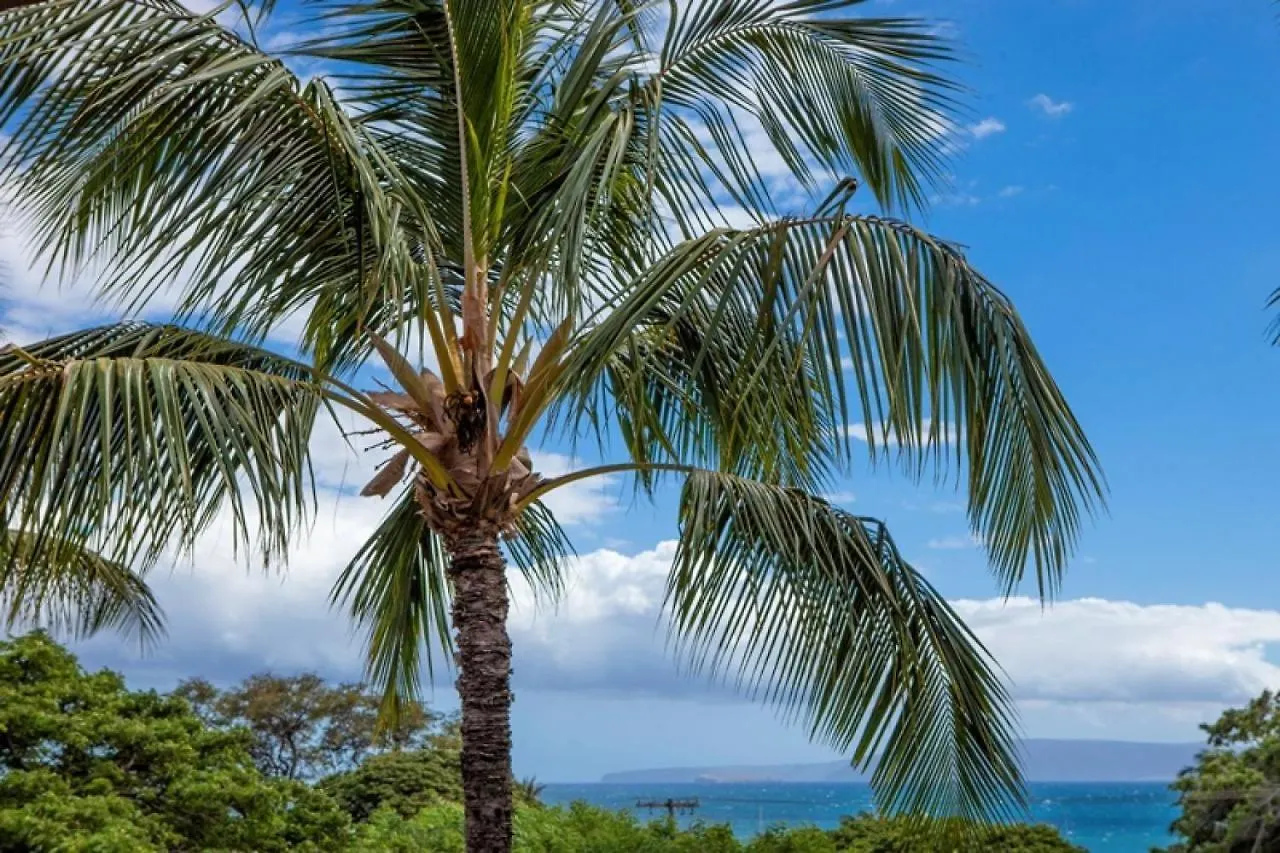 Dom wakacyjny Maui Vista 1421 - Mch
