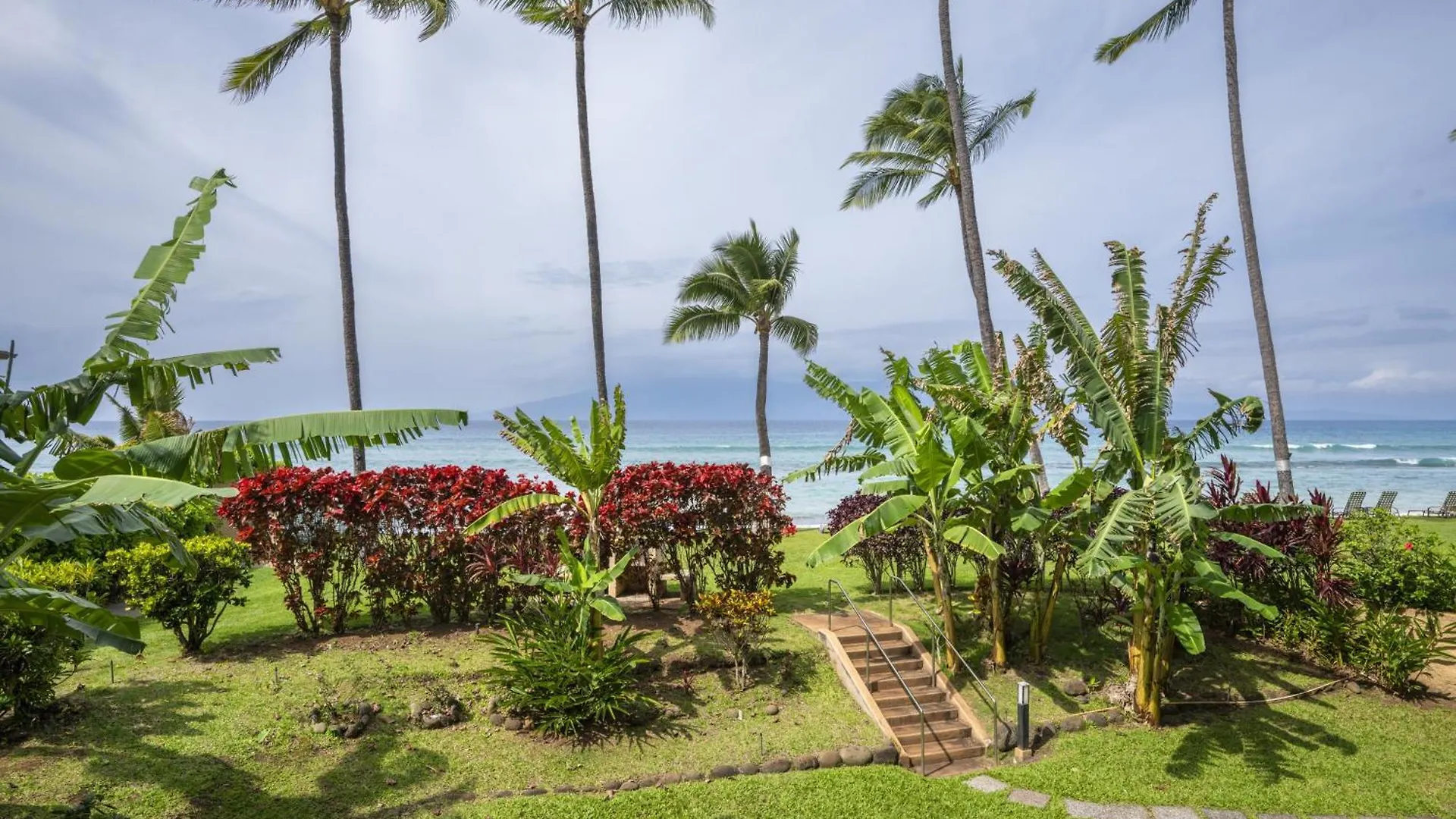 Paki Maui #109 * Kahana