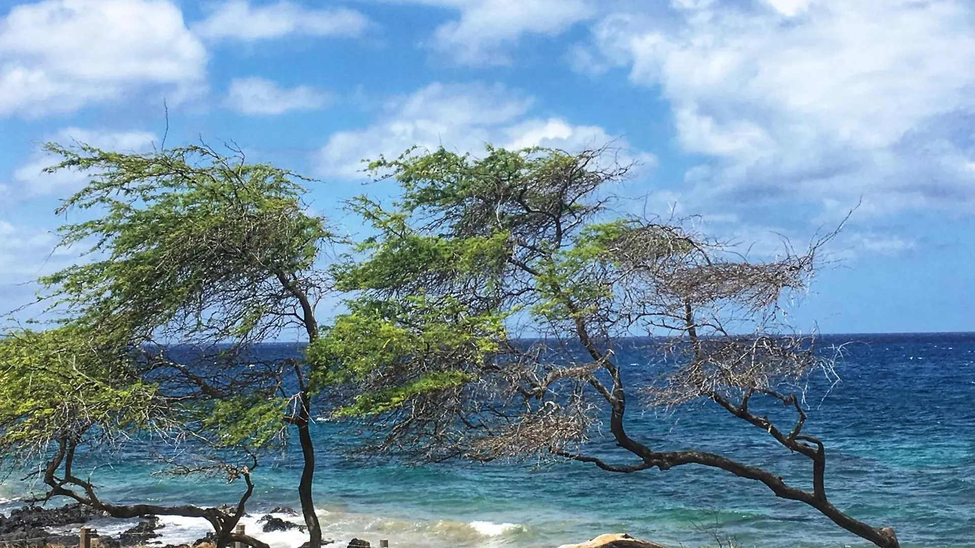 度假居 Kamaole Sands 9-309 - Mch