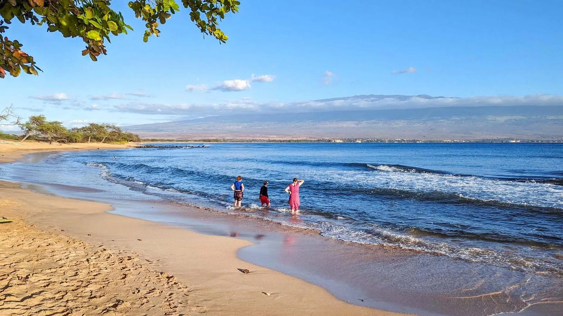 Lauloa 410 - Floor, Direct Ocean Front, Stunning Renovation, Wi-fi, Split Ac Holiday home