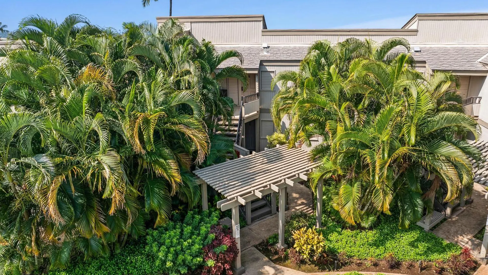 Ekolu 907 Wailea (Maui)