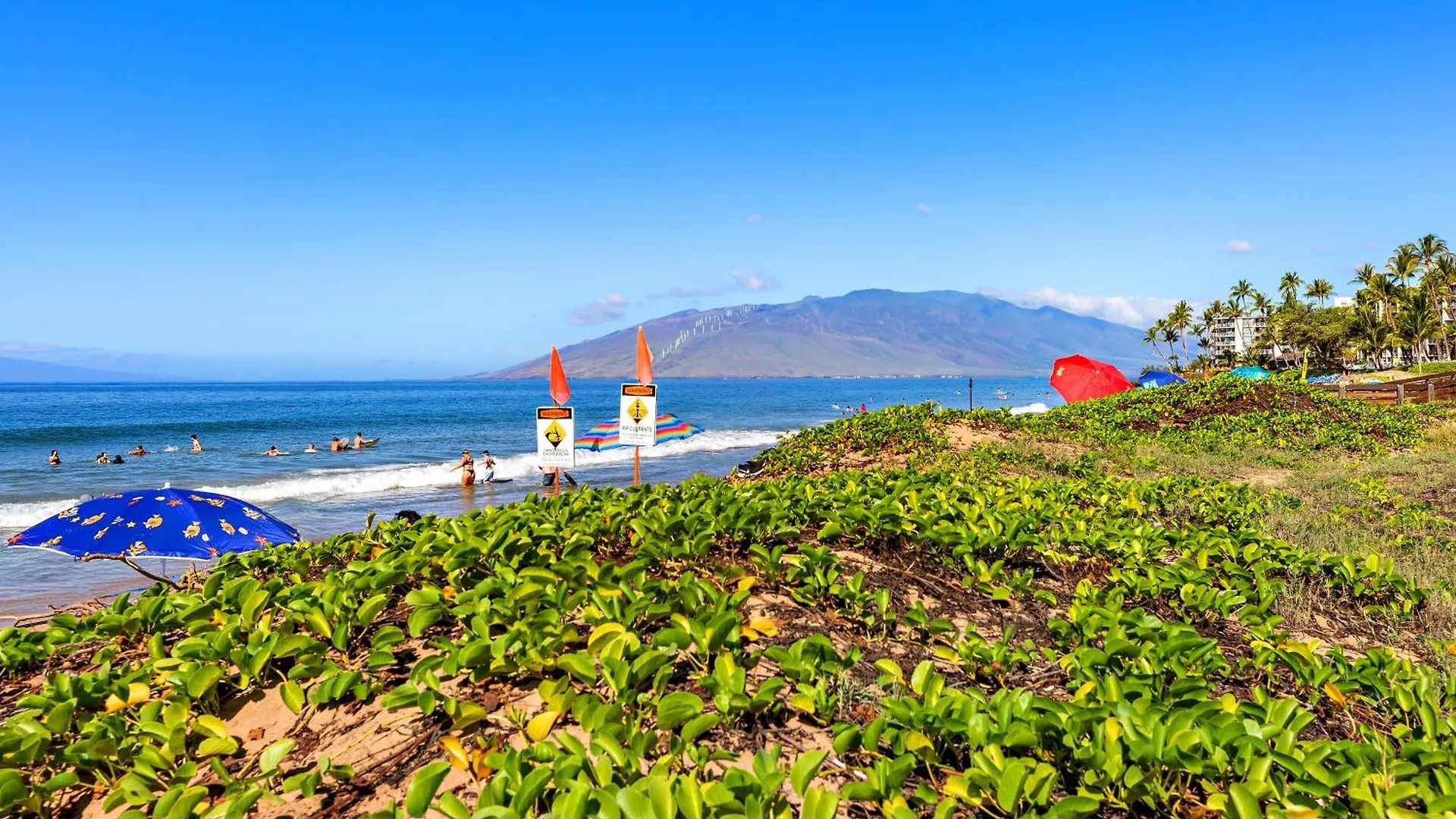 بيت للعطل Maui Banyan P409a