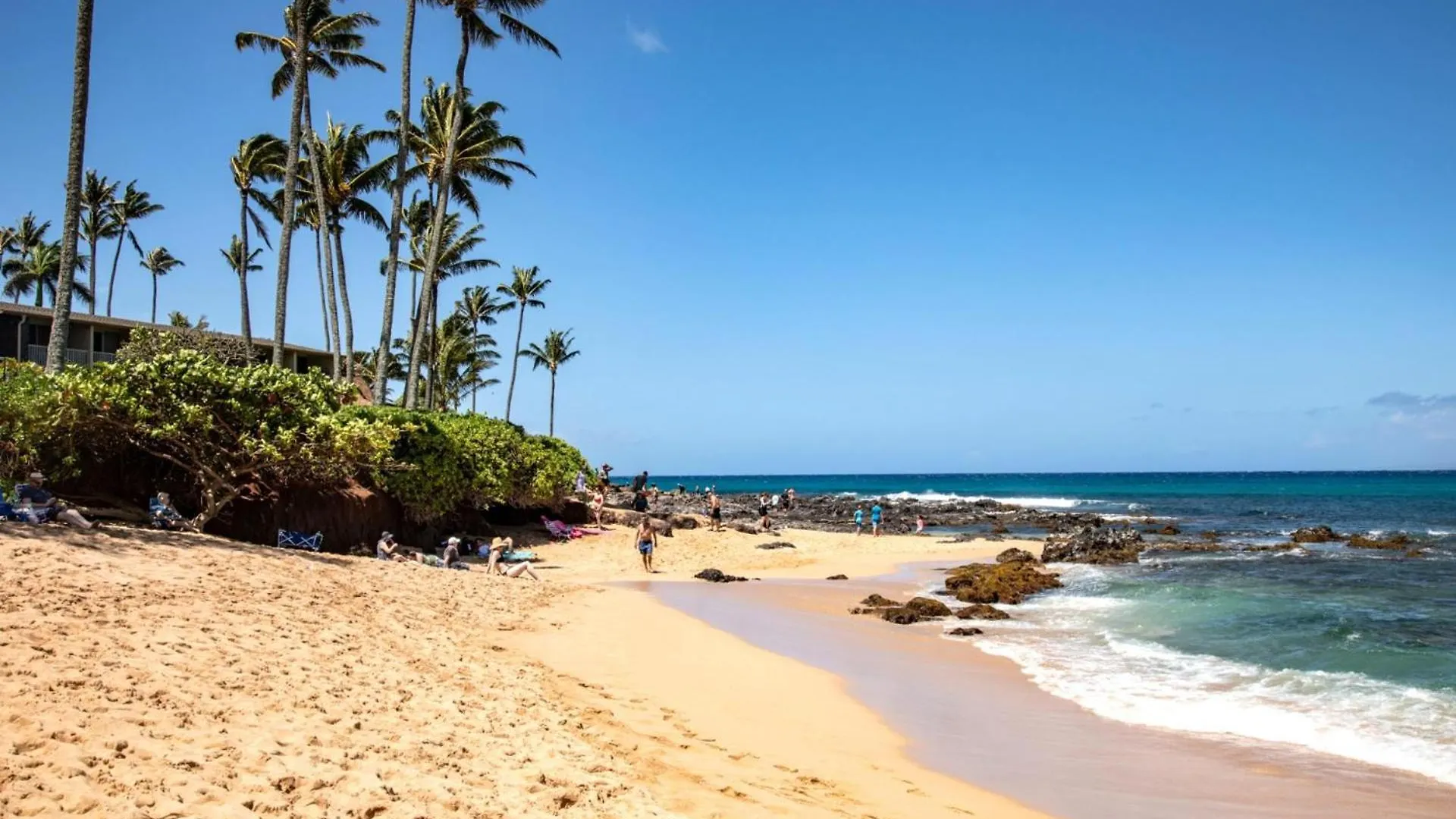 Kbm Resorts: Oceanfront Napili Bay With Turtle Views