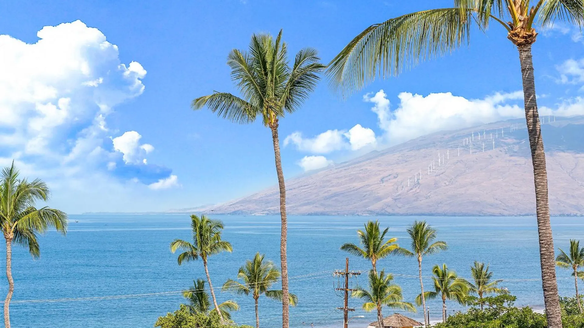 Stunning Ocean View 2 Bedroom Steps From