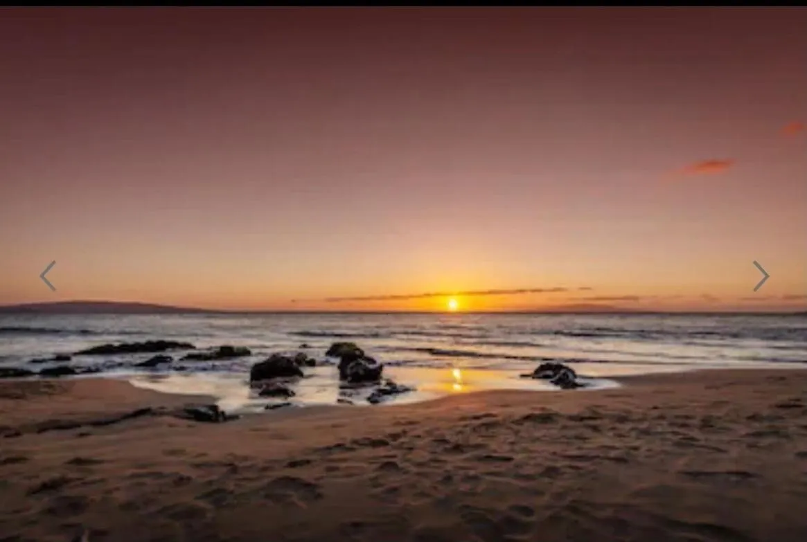 Hidden Gem Lägenhet Wailea (Maui)