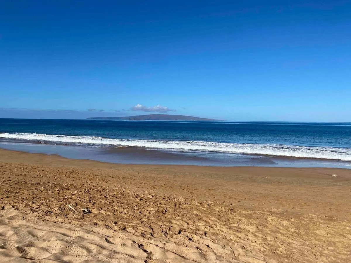 Hidden Gem Lägenhet Wailea (Maui)