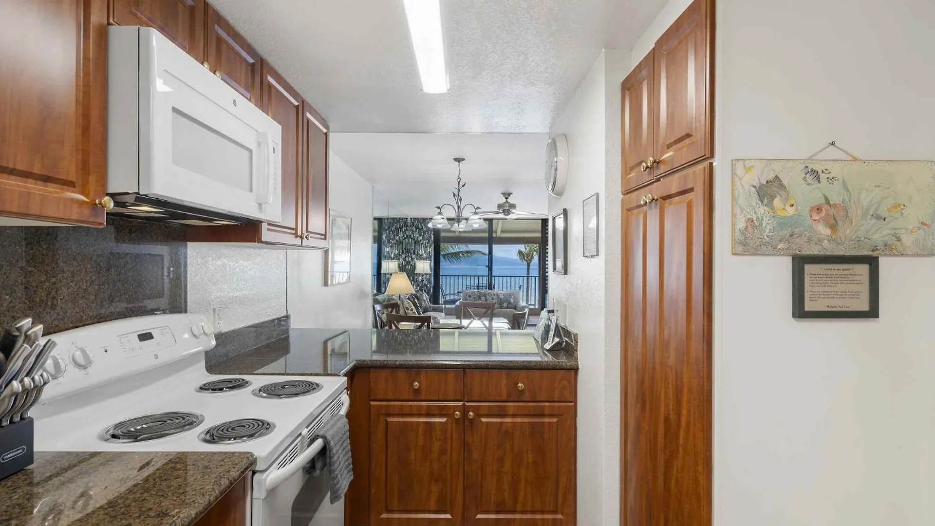 Lauloa 410 - Floor, Direct Ocean Front, Stunning Renovation, Wi-fi, Split Ac Holiday home