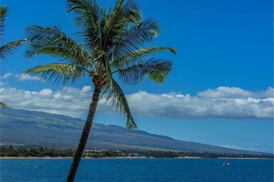 Sugar Resort, #430^ * Kihei