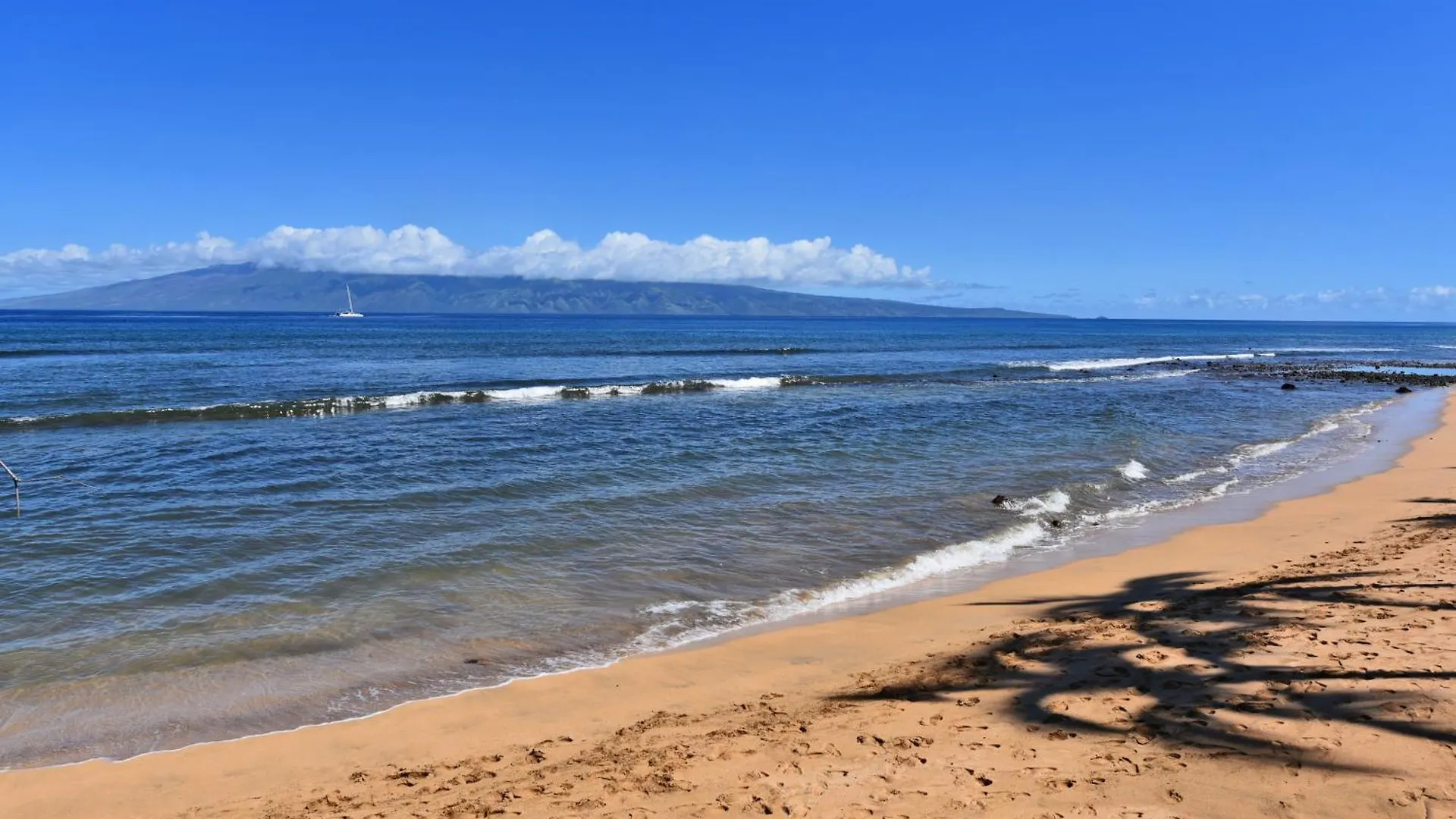 Kaanapali Shores 160 - Sleep Steps Away From The Ocean *