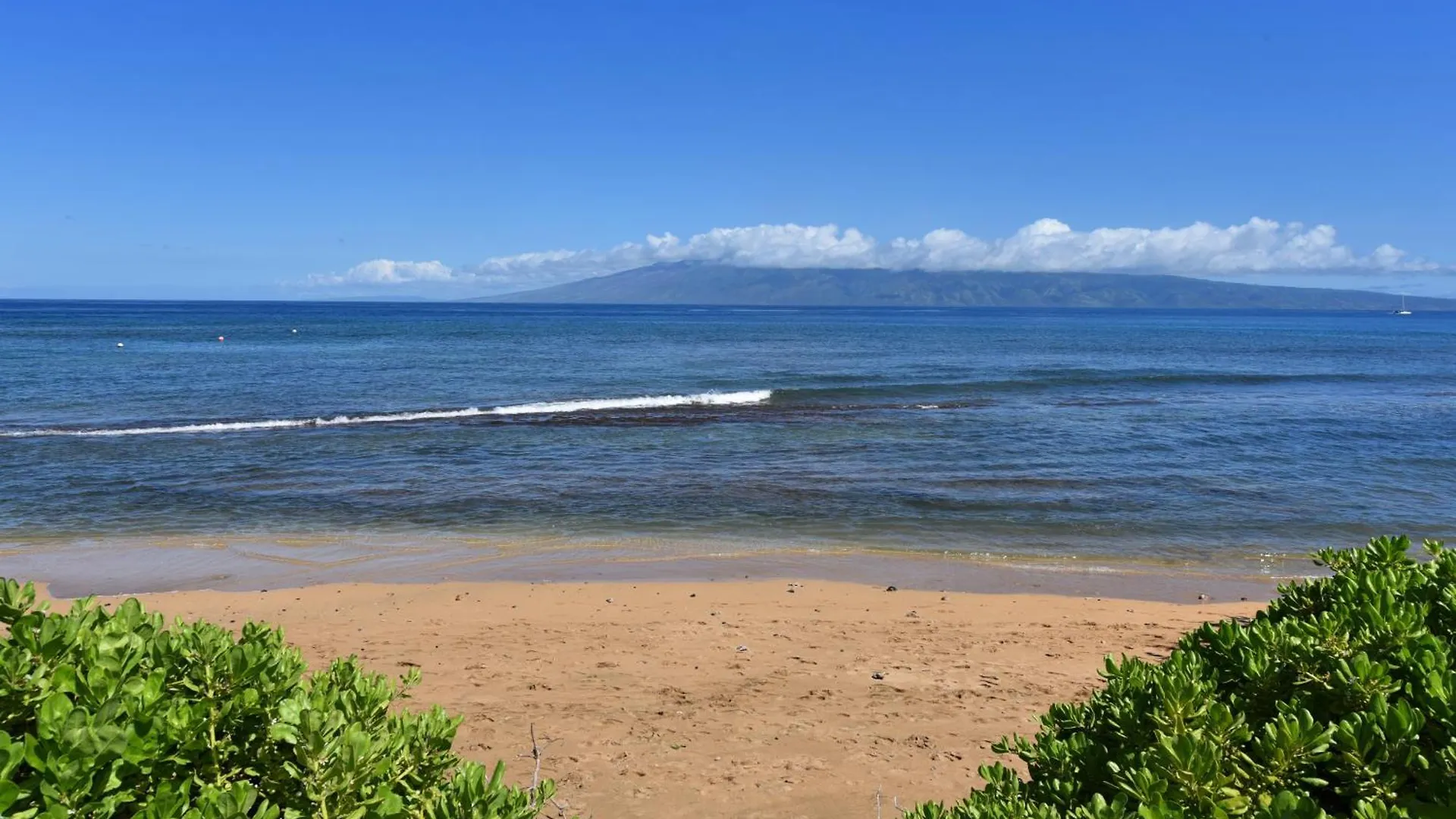 Курортный комплекс Kaanapali Shores 160 - Sleep Steps Away From The Ocean *