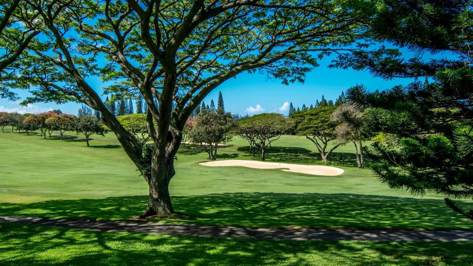 Kapalua Golf 14p1-2 アパート カハナ