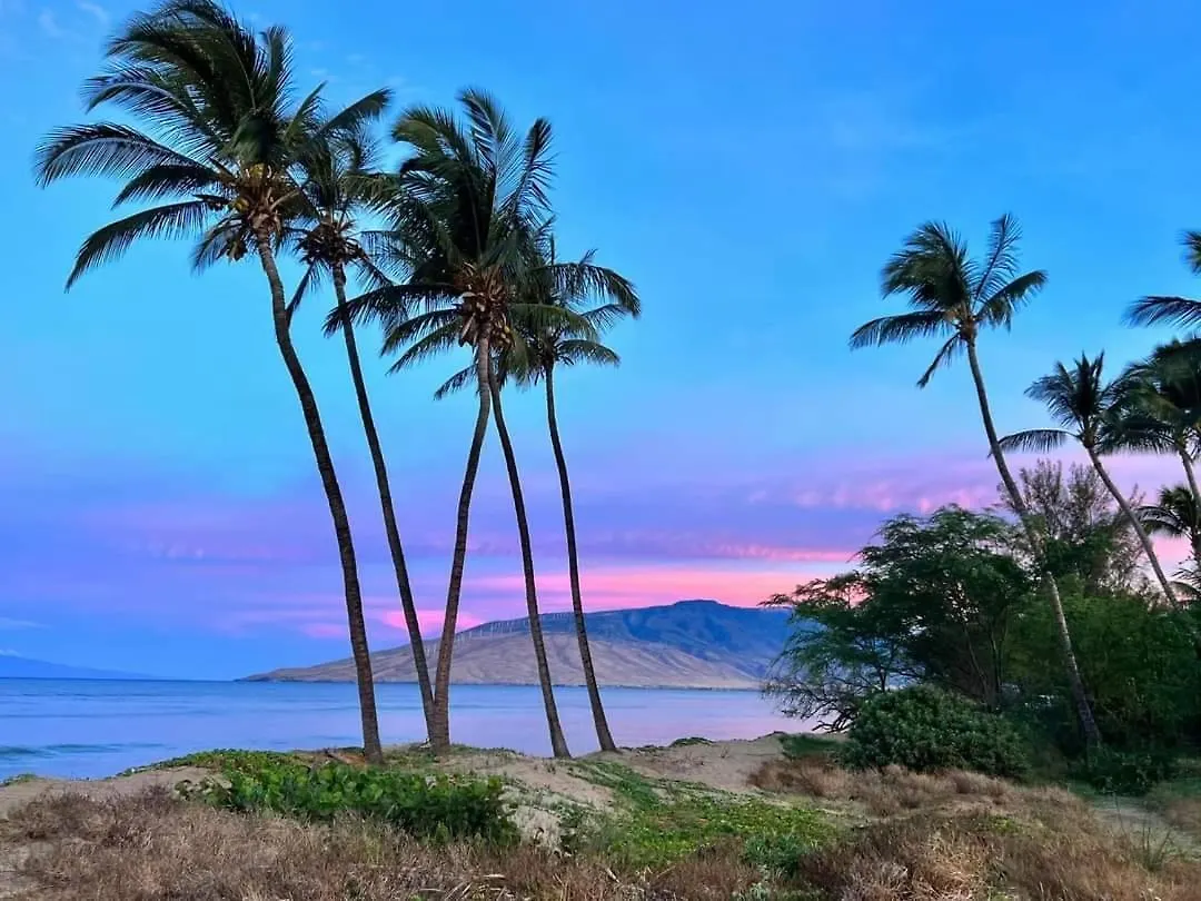 Apartmán Turtle Paradise - King Bed, Ac, Across From Kihei