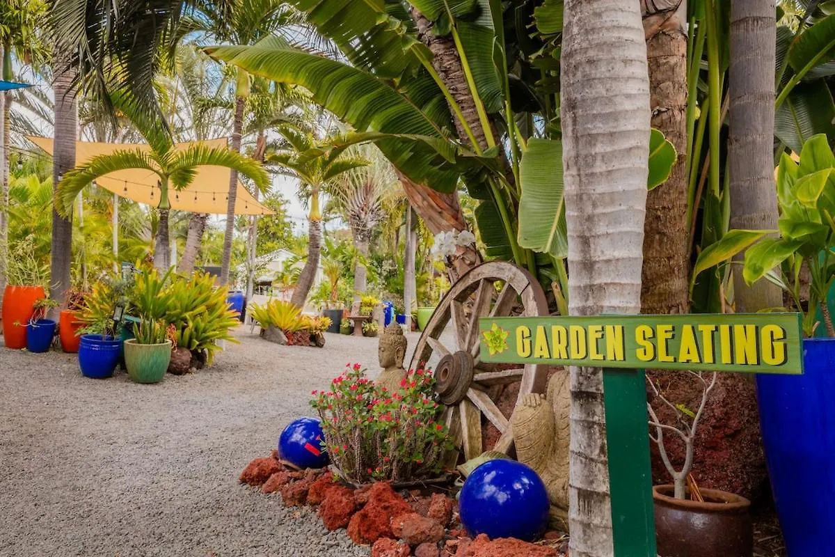 Turtle Paradise - King Bed, Ac, Across From Apartmán Kihei