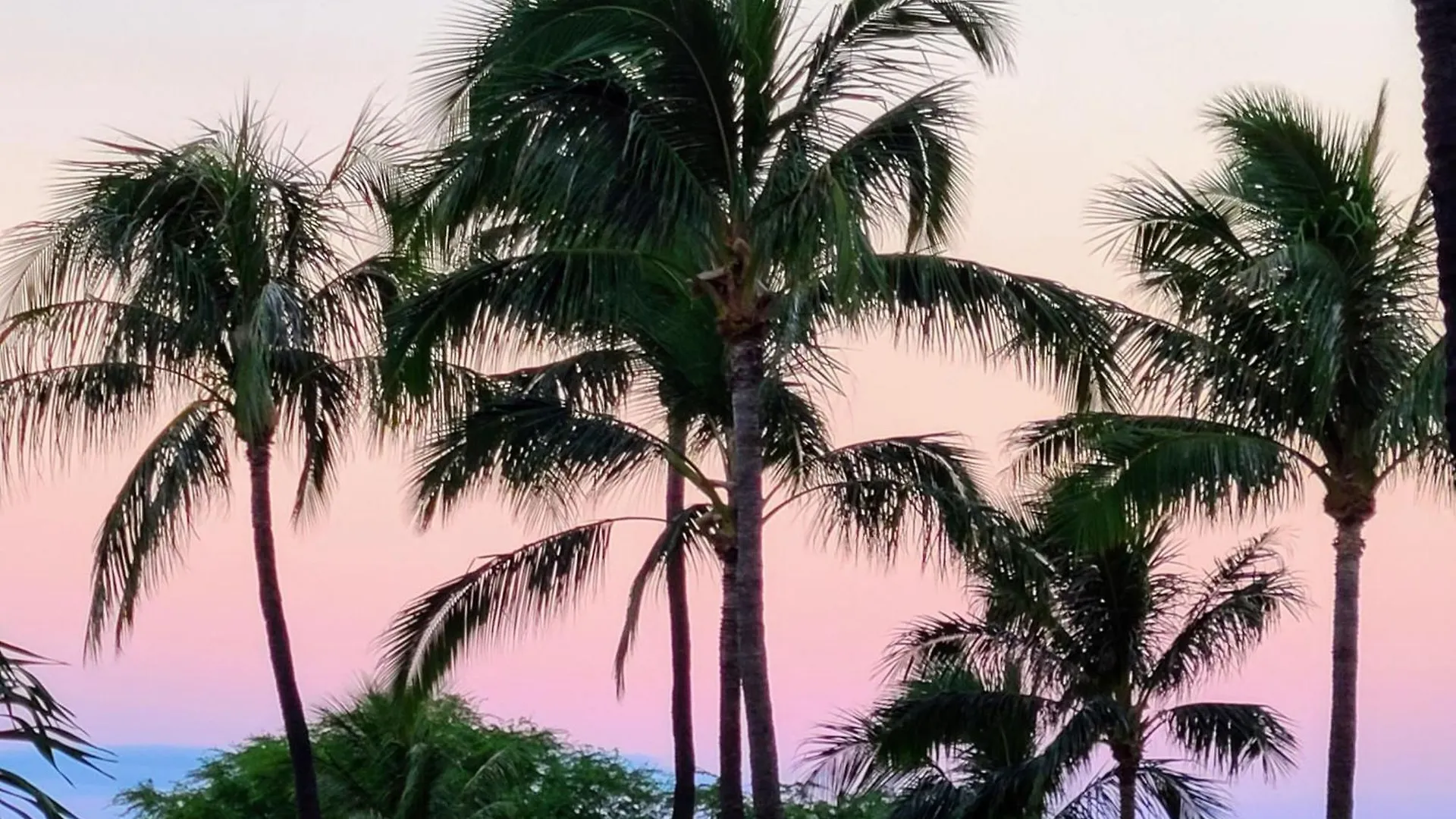 Maui Kaanapali 408 *