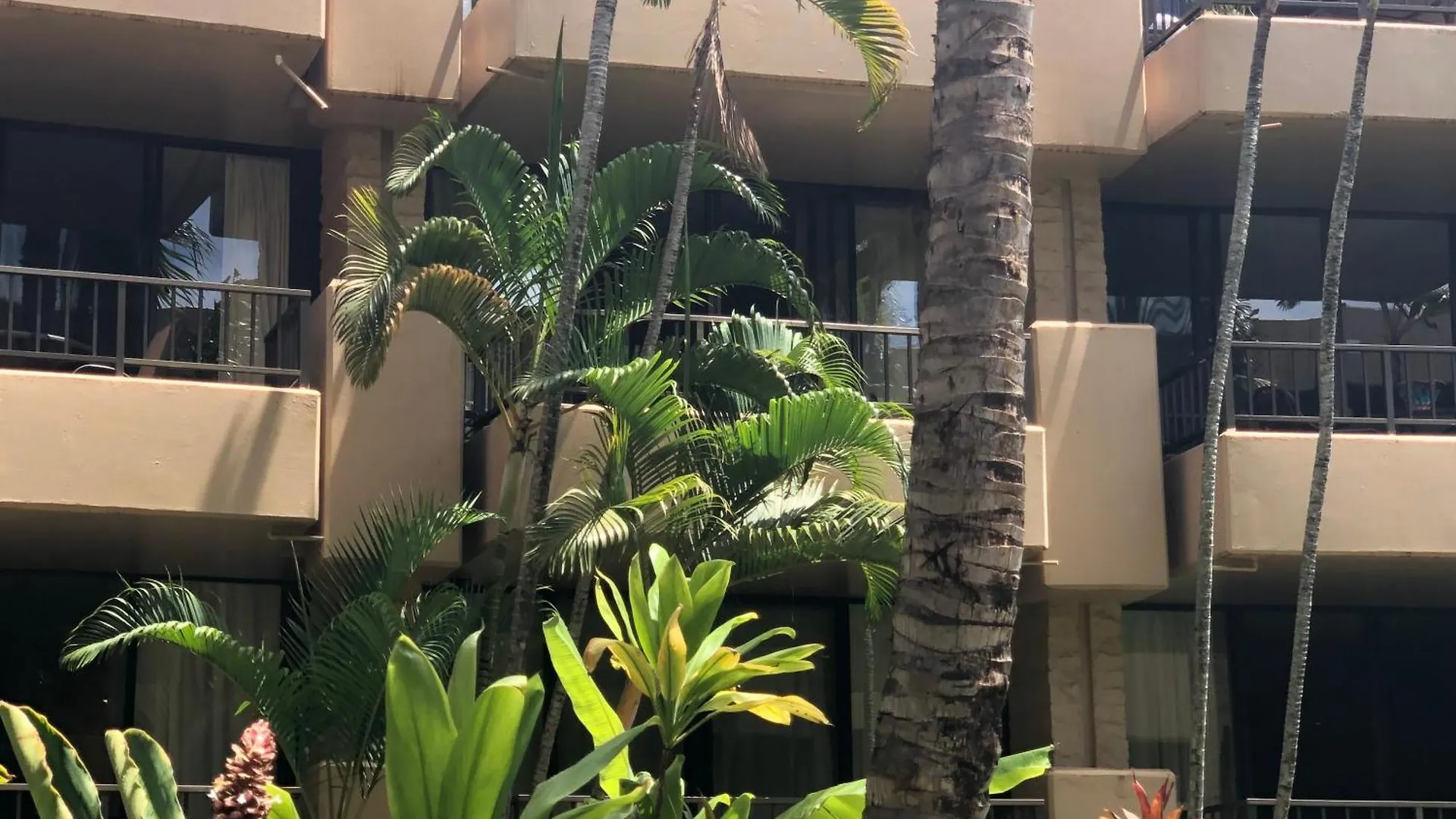 アパート Paki Maui In Paradise - Ocean Side *