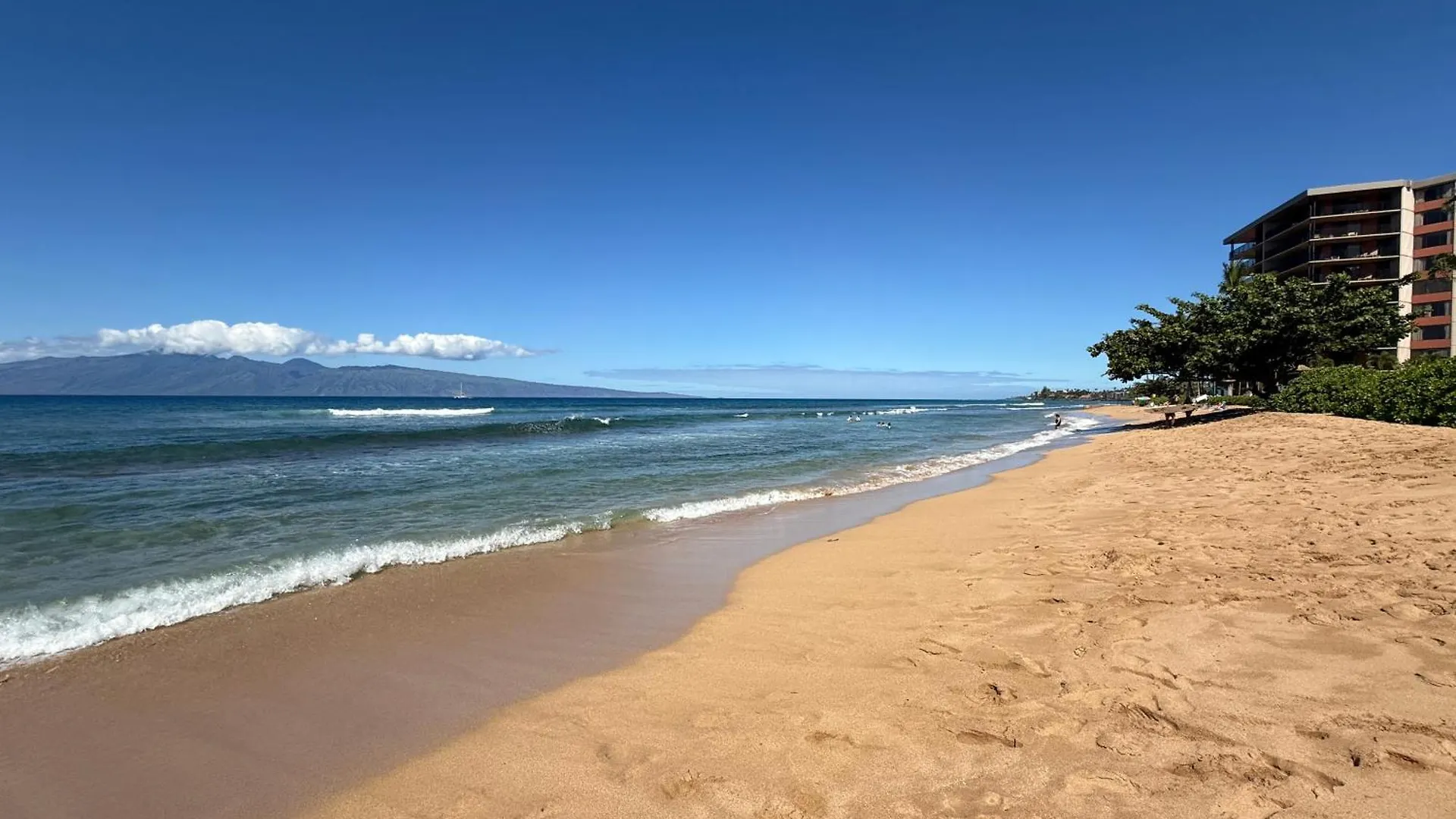 Kaanapali Shores 903 Lejlighed