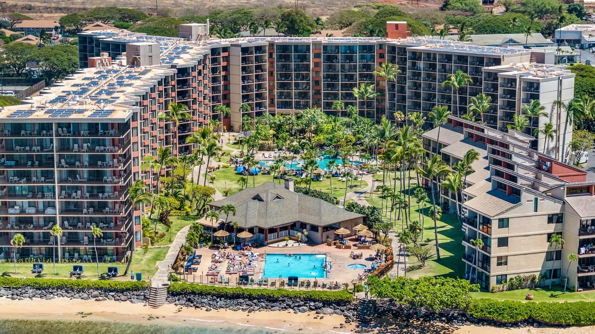 Kaanapali Shores 903 Lejlighed Kahana