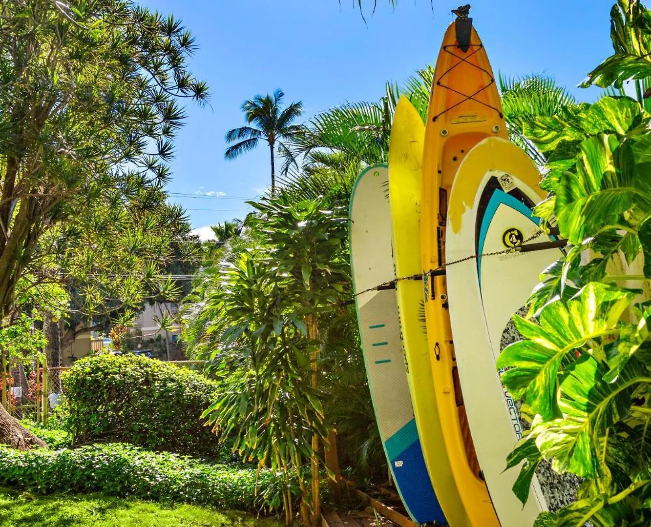 Hololani B503 Kahana