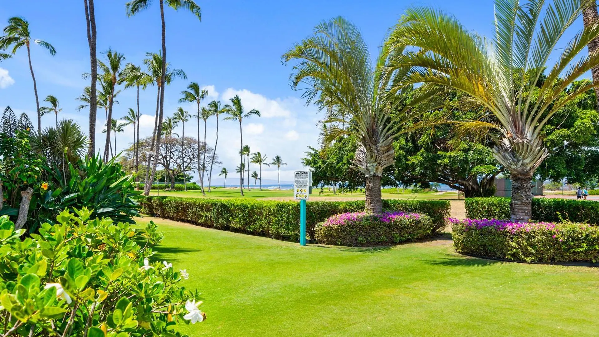 Maui Schooner