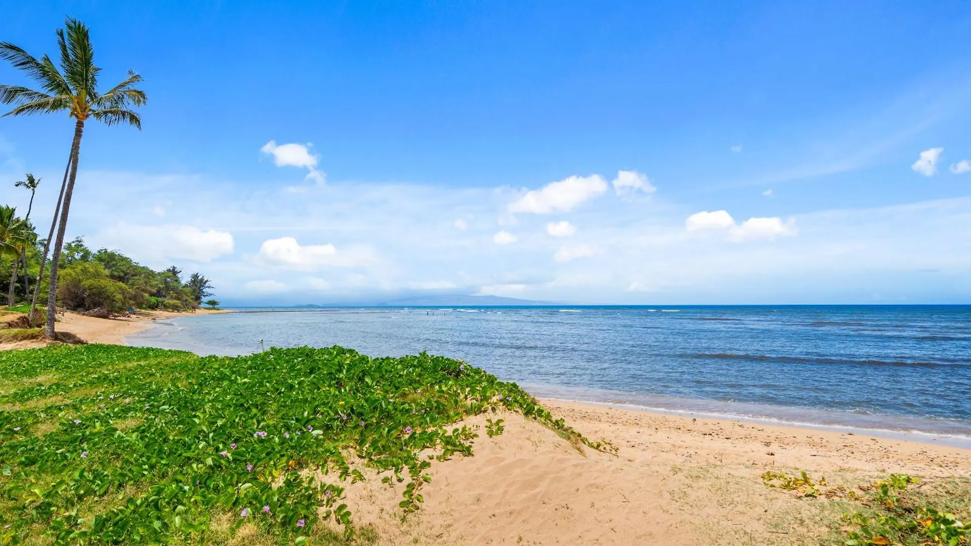 Maui Schooner * Kihei