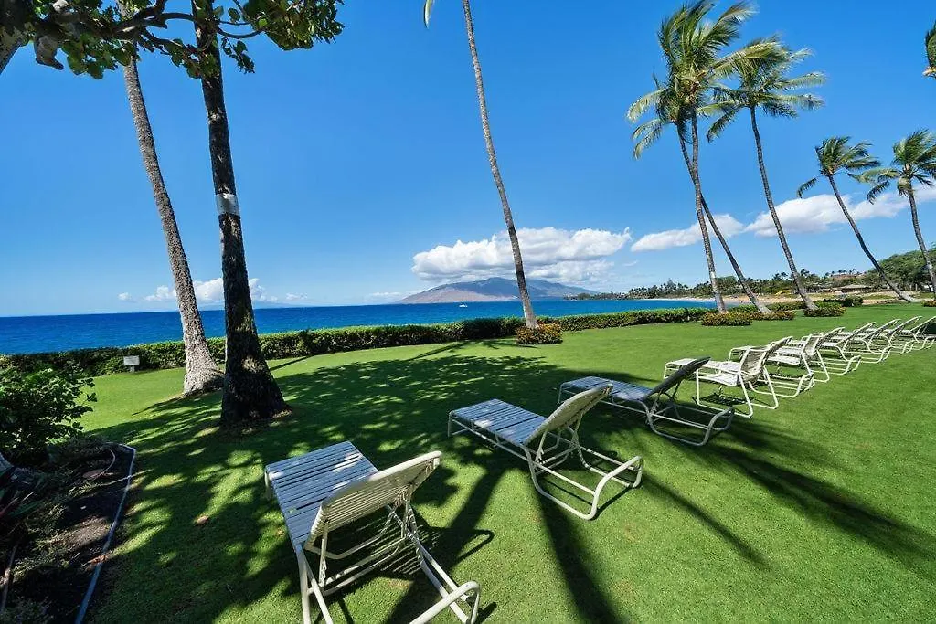 Royal Mauian 509