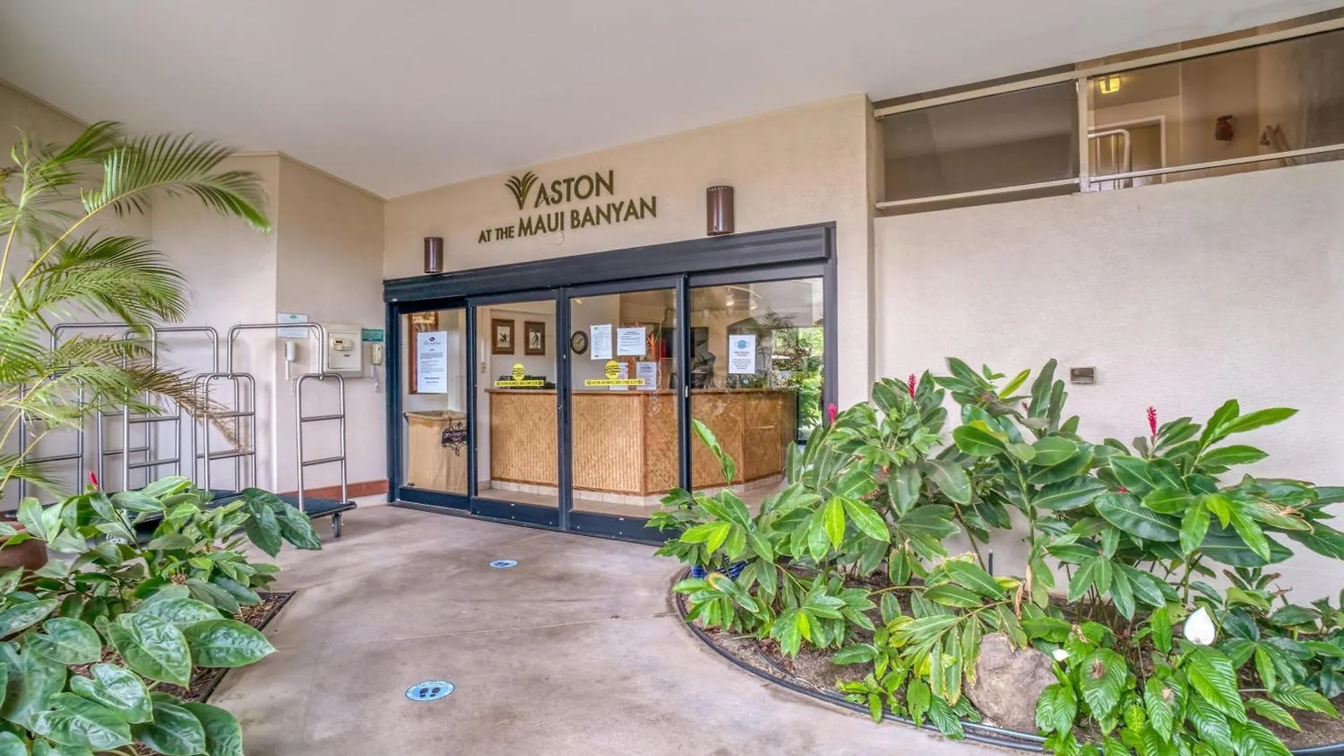 Vakantiehuis Maui Banyan H506 *