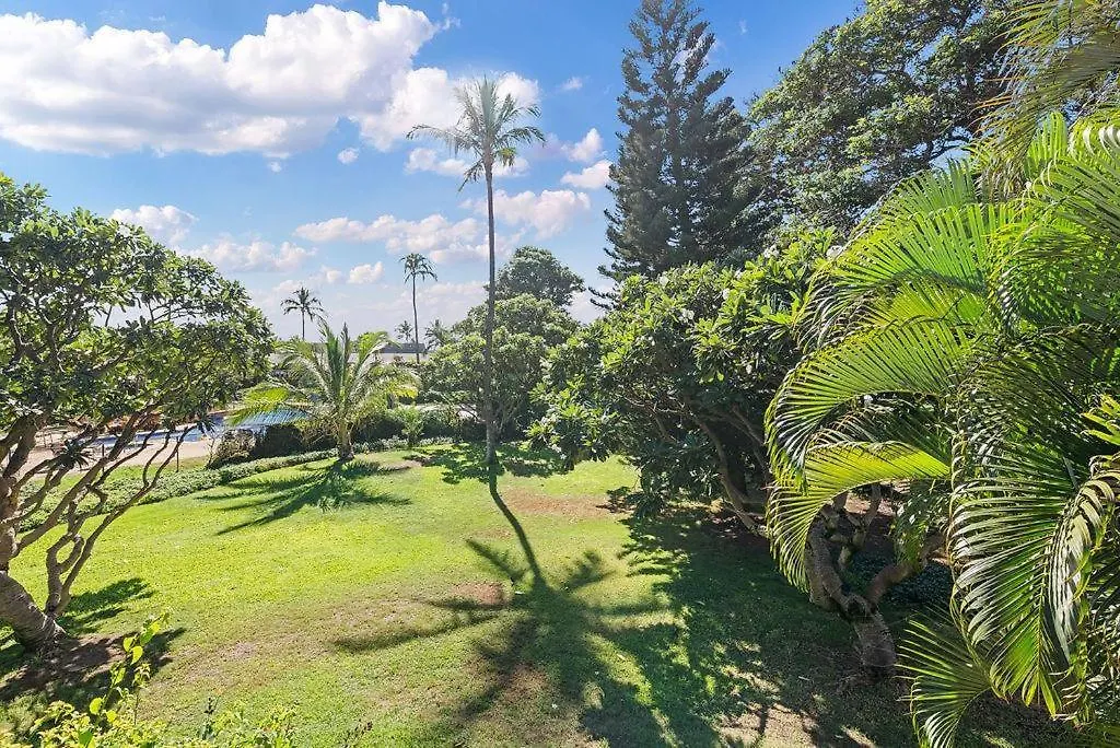 Koa 1g * Kihei