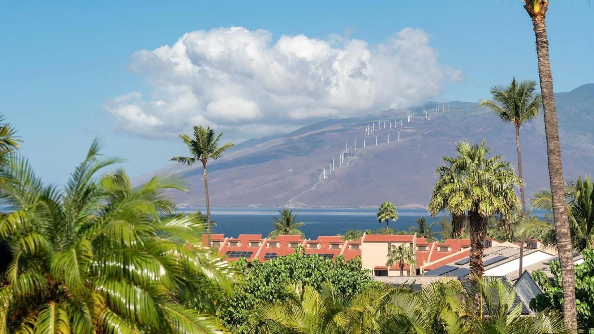 بيت للعطل Maui Kamaole J114 ويليا