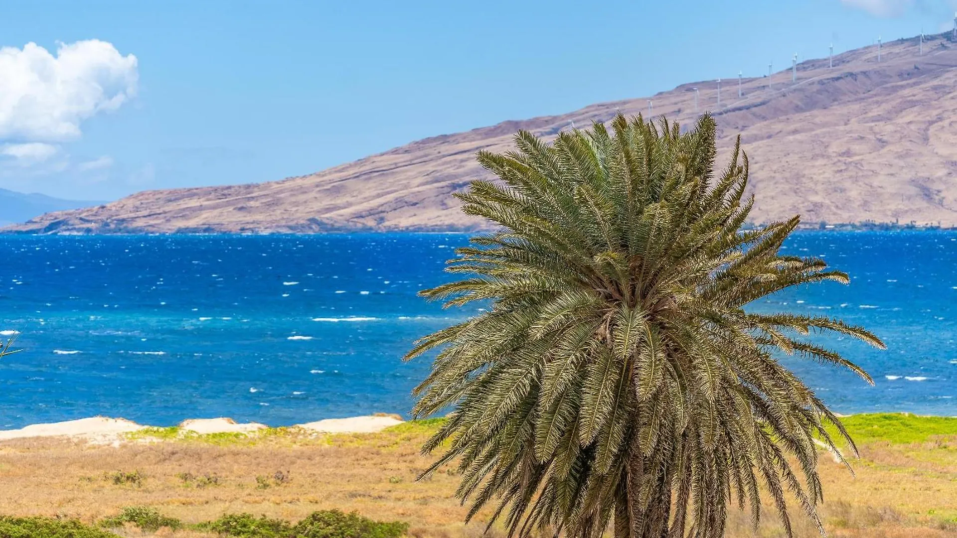 Kauhale Makai 510 * קיהיי